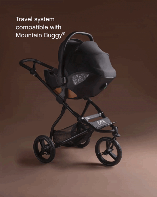 mountain-buggy-nest-carseat-detail-travel-system-10f-682h.gif